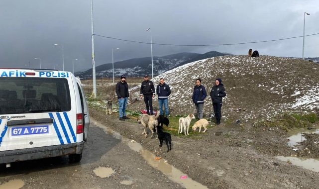 Çaycuma emniyeti sokak hayvanlarını unutmadı