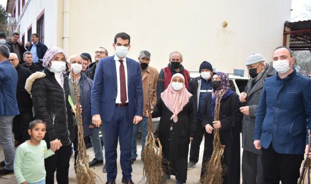 Ceviz üretim alanlarını 2 katına çıkaracak projede fidan dağıtımları tamamlandı