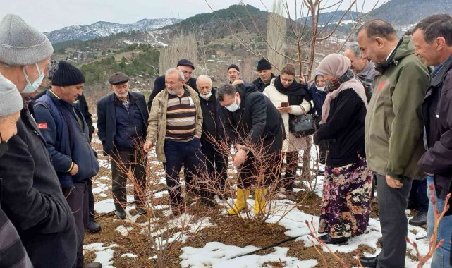 Çiftçiye yaban mersini budama ve gübreleme eğitimi