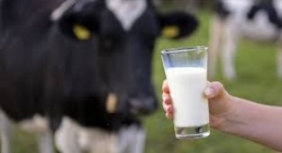 Çiğ süt destekleme primi 1 liraya yükseldi