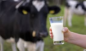 Çiğ süt destekleme primi 1 liraya yükseldi
