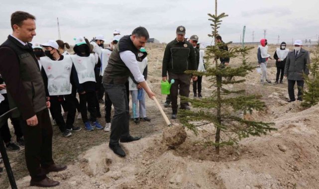 Çorum'da 70 milyon 500 bin fidan toprakla buluştu