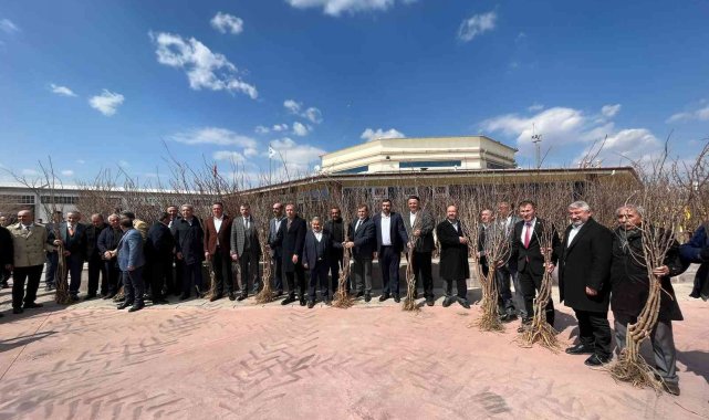 Çorum'da süne ile mücadele çerçevesinde 7 bin 300 dut fidanı dağıtıldı