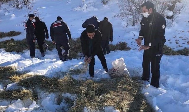 Daday'da yaban hayvanları için doğaya yem bırakıldı