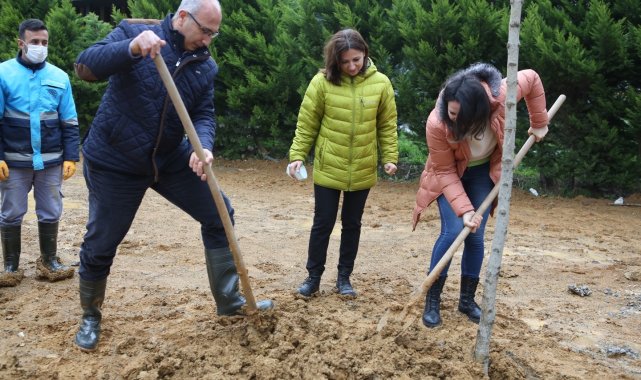 Daha yeşil bir çevre için fidan diktiler