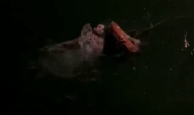 Denize atlayan genci bekçi kurtardı