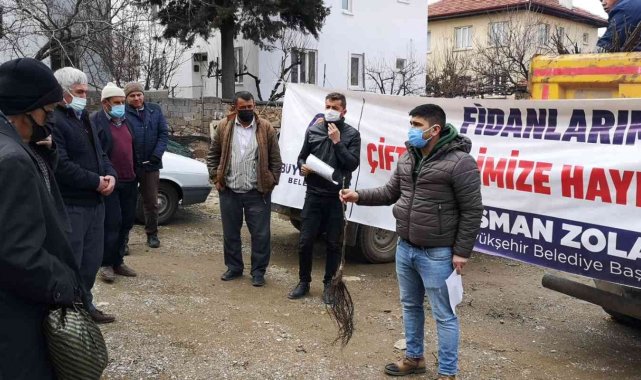 Denizli&#039;de 2017&#039;den bugüne kadar 380 bin ceviz fidanı dağıtıldı