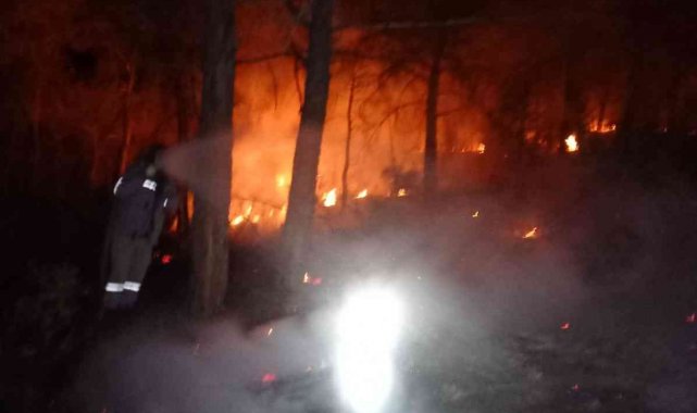 Denizli'de 2022 yılının ilk orman yangında 1 hektar alan zarar gördü