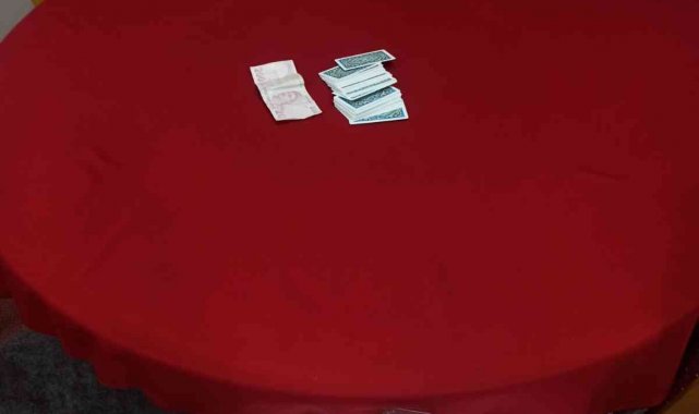 Denizli'de ev, iş yeri ve apart denetimlerinde 337 farklı adres kontrol edildi