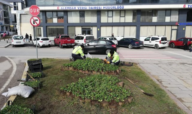Derince&#039;de peyzaj çalışmaları devam ediyor