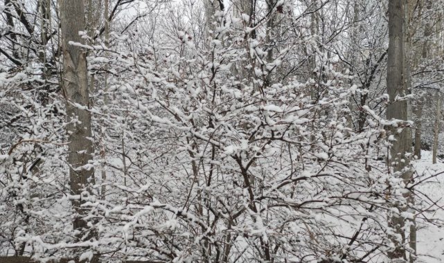 Develi'de kar yağışı etkili oluyor