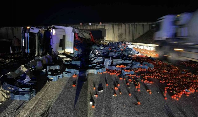 Devrilen tırın dorsesindeki tonlarca domates yola savruldu