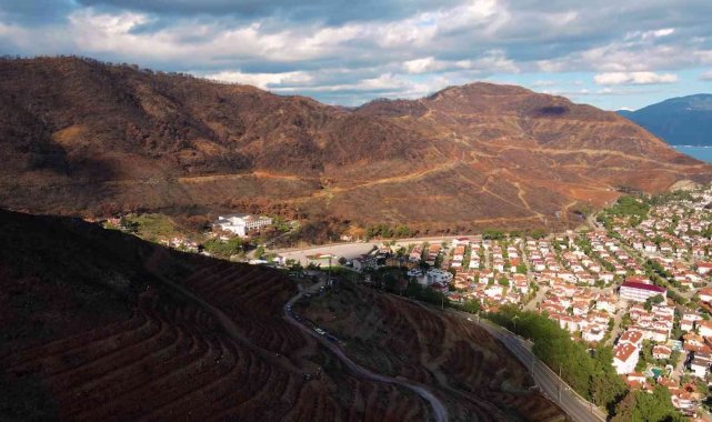 Doğa dostu bisikletçiler yanan ormanlar için pedal çevirip fidan dikecek
