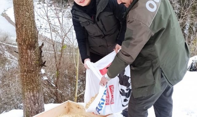 Doğadaki canlılara yem bıraktılar