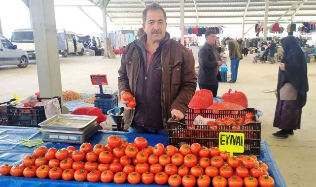 Domatesin fiyatı yarı yarıya düştü