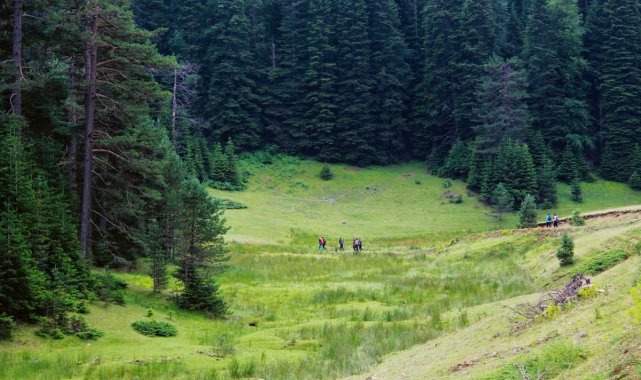 Düzce&#039;de yeşil alan yüzde 45&#039;e düştü