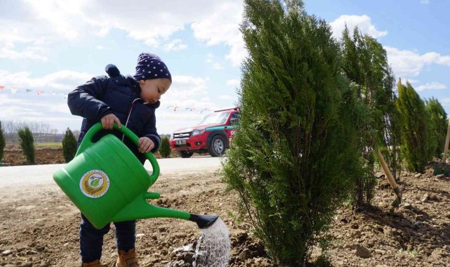Edirne'de bu yıl hedef: 2 buçuk milyon fidan