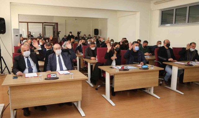 Efeler'in enginar yavru vatana uzanacak