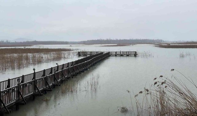 Efteni Gölü&#039;nde su seviyesi yükseldi