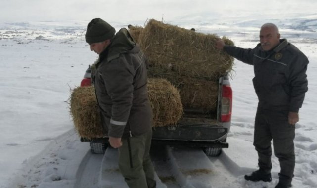 Elazığ'da yaban hayvanları için doğaya yem bırakıldı