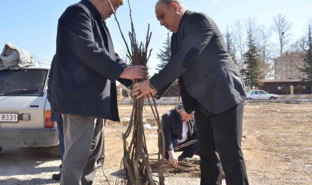 Elbistan'da üreticilere 6 bin 300 adet ceviz fidanı dağıtıldı