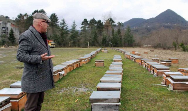Elevli "Tarımda rekolte ve randıman için arıcılık desteklenmeli"