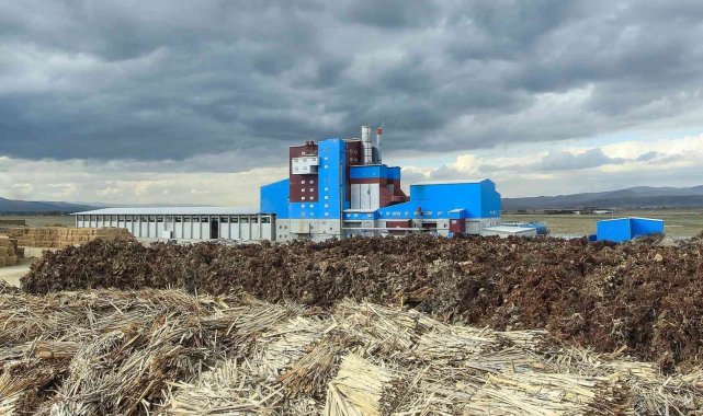 Enerjide biyokütle avantajı