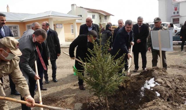 Erciş'te fidan dikimi