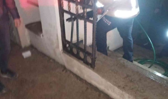 Erdek'te kapı demirine sıkışan köpeğin imdadına itfaiye yetişti