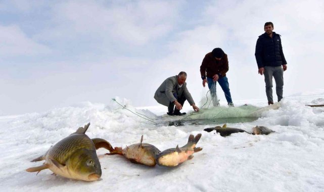 Erzincan'da nisandan haziran ayının sonuna kadar sazan avı yasaklandı