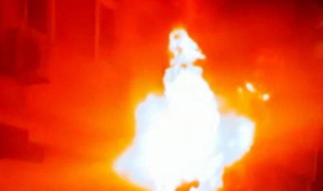 Fatih korkutan yangın: Dumandan etkilenen 4 kişi ve 6 kedi yavrusunu itfaiye ekipleri kurtardı