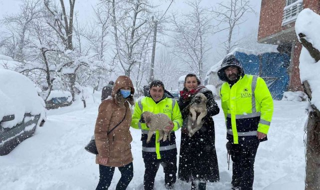 Fatsa&#039;da sokak hayvanları unutulmadı