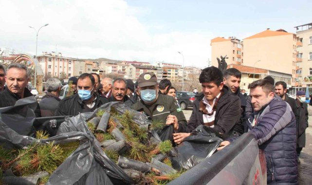 Fidan dağıtımında izdiham yaşandı