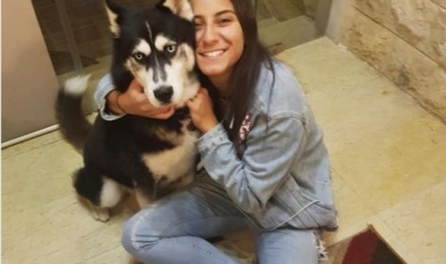 Fransa'da yanlış tanı konan köpeğin kanseri, İstanbul'da tedavi edildi