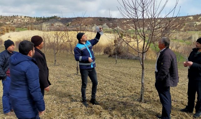 Gediz Üzümlü köyünde budama teknikleri eğitimi