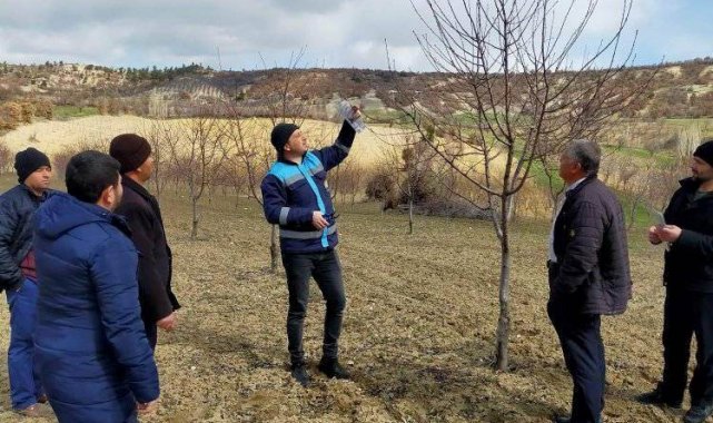 Gediz&#039;de çiftçilere meyve ağaçlarında verim ve şekil budama eğitimi