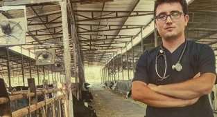 Genç veteriner kazada yaşamını yitirdi