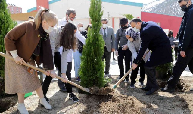 Gümüşhane Lisesinin bahçesine 16 selvi ağacı dikildi