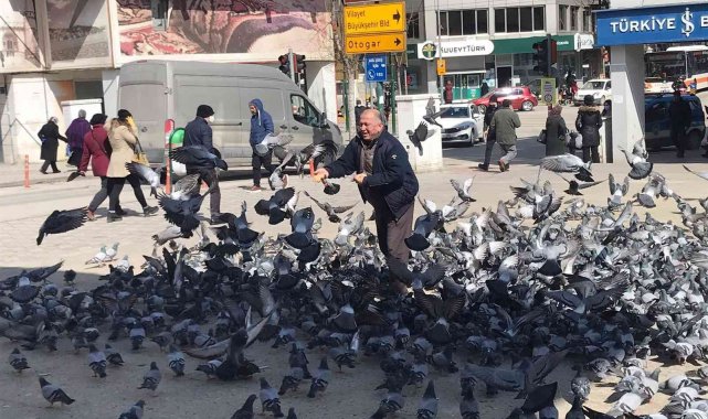 Güvercinlerin arasında yapılan besleme görenleri gülümsetti