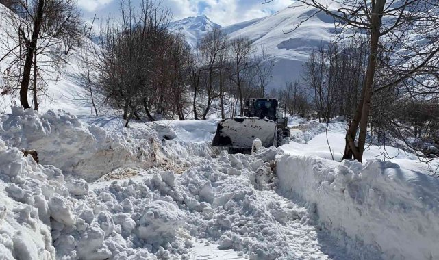 Hakkari&#039;de 15 yerleşim yerinin yolu ulaşıma kapandı