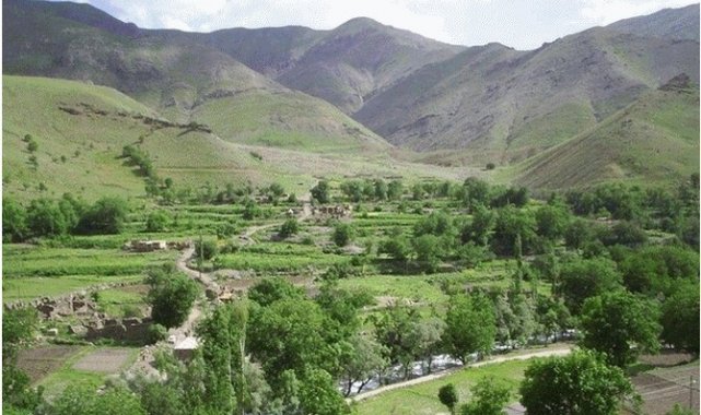 Hakkari'de düğün ve taziyeler için yeni karar