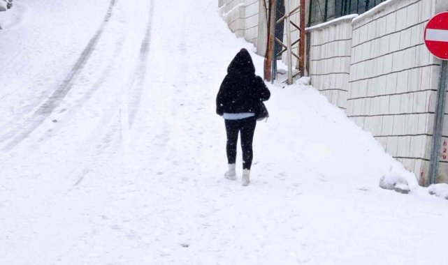 Hakkari'de kar yağışı