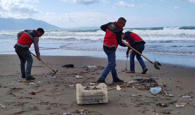 Hatay&#039;da sahile vuran ölü denizanaları incelemeye alındı