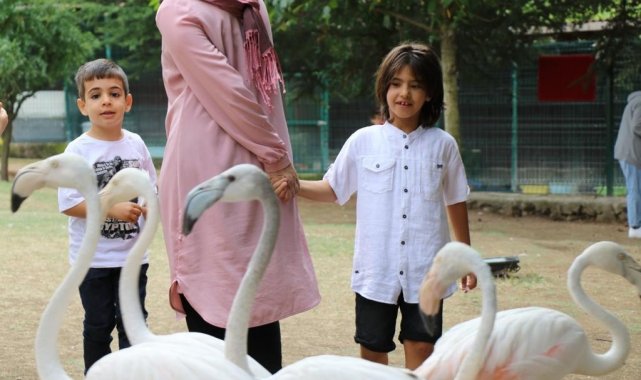 Hayvanlar ile eğitim Avrupa Birliği yolunda