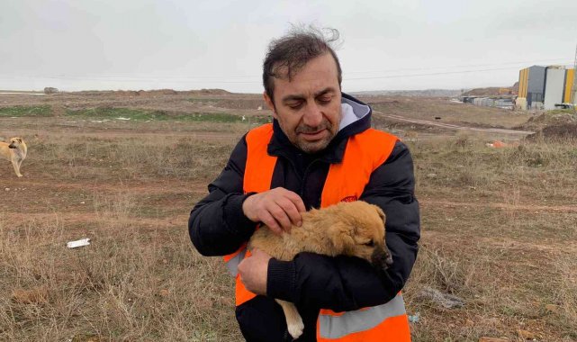Her gün 50 kilometre yol giderek 400 köpeği besliyorlar