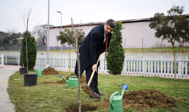 Herkes dalından yesin diye yüzlerce kiraz ve vişne ekildi