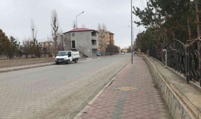 Iğdır'da "mavi dil" hastalığı tedirgin etti