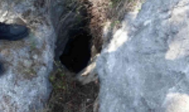 İtfaiye'den keçi kurtarma operasyonu