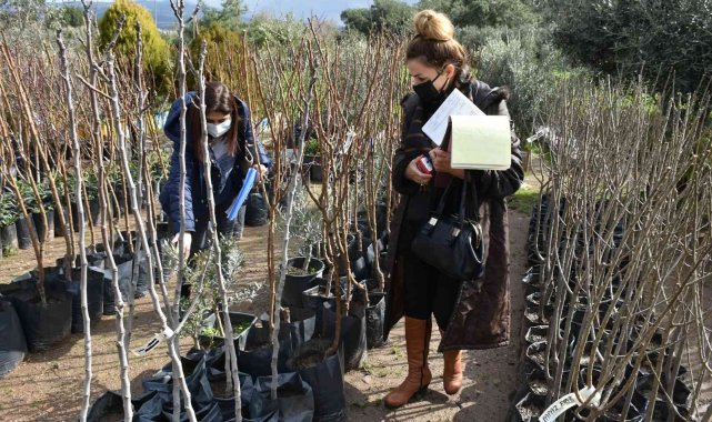 İzinsiz fidan satışına 54 bin TL ceza uygulanacak