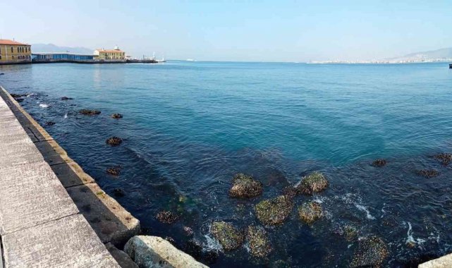 İzmir Körfezi'nde su seviyesi 80 santimetre düştü, deniz ulaşımı aksadı